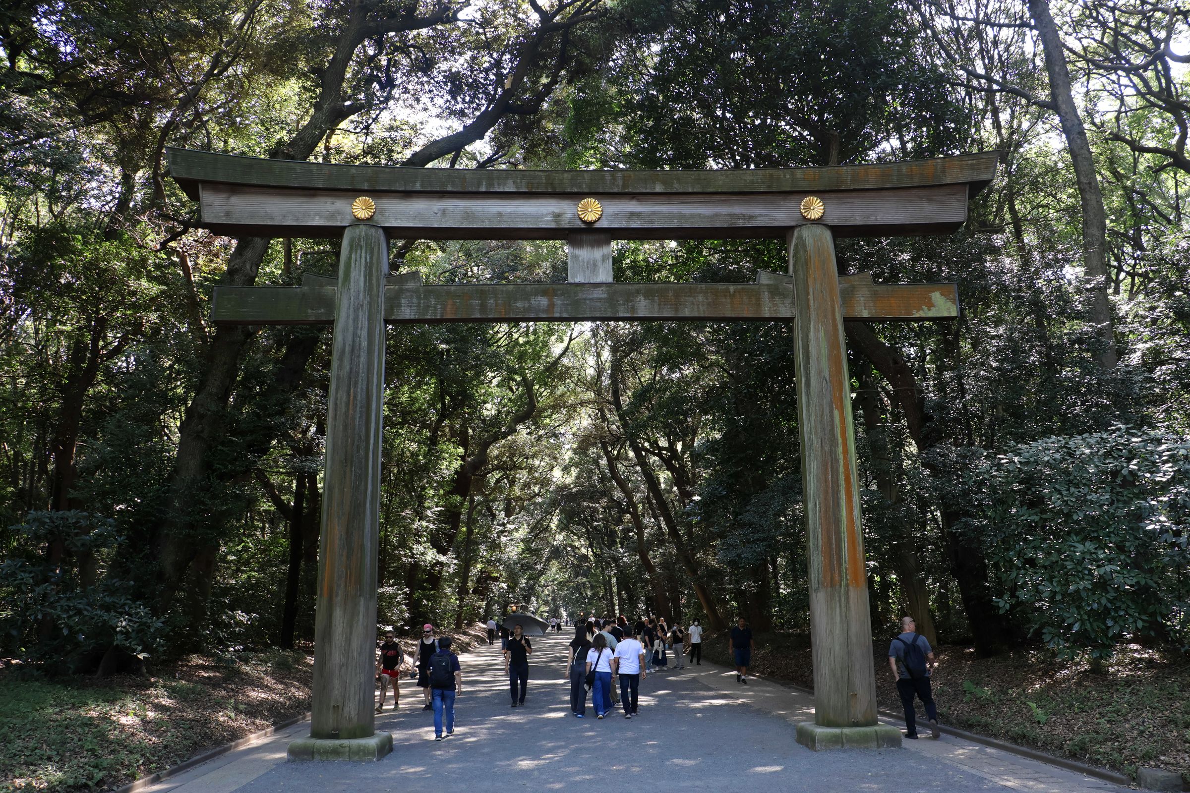 Tag 1 – Konnichiwa Tag 1 – Konnichiwa