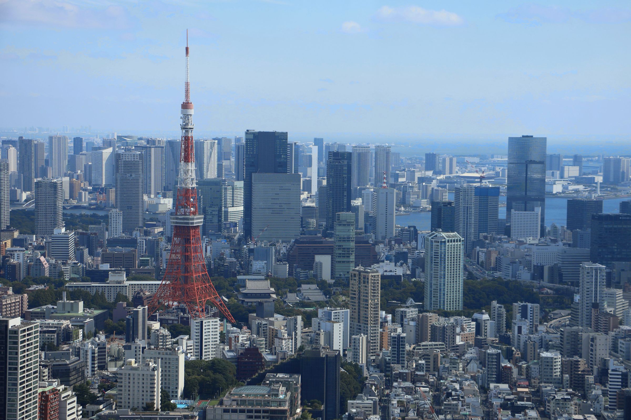 Tag 5 – Tokio von oben Tag 5 – Tokio von oben